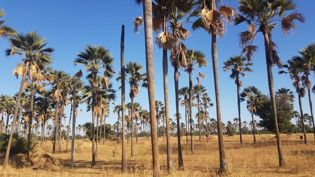 Villa met privé zwembad in Résidence Safari Village Saly Portudal Exteriör bild