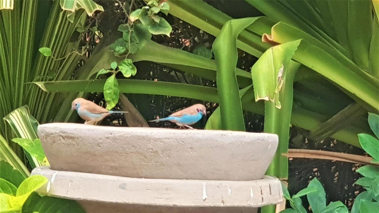 Villa met privé zwembad in Résidence Safari Village Saly Portudal Exteriör bild