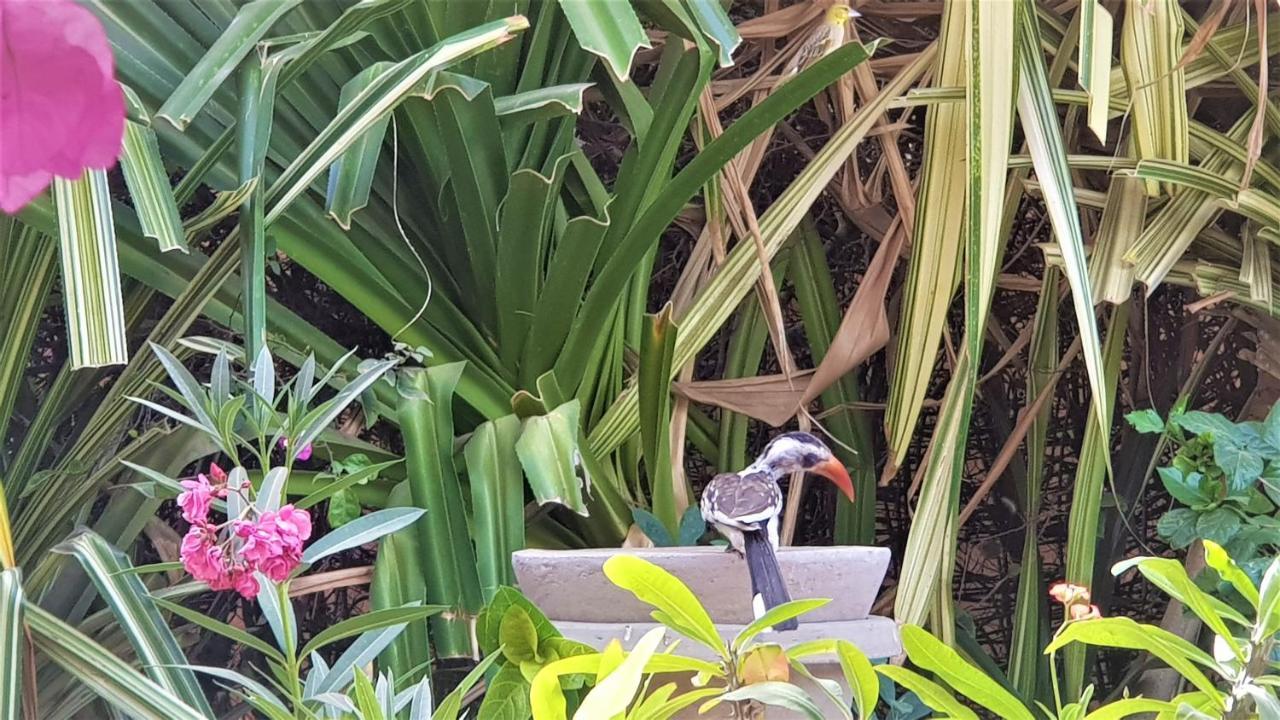 Villa met privé zwembad in Résidence Safari Village Saly Portudal Exteriör bild
